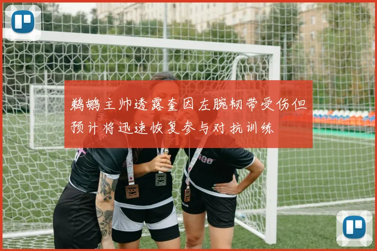 鹈鹕主帅透露奎因左腕韧带受伤但预计将迅速恢复参与对抗训练