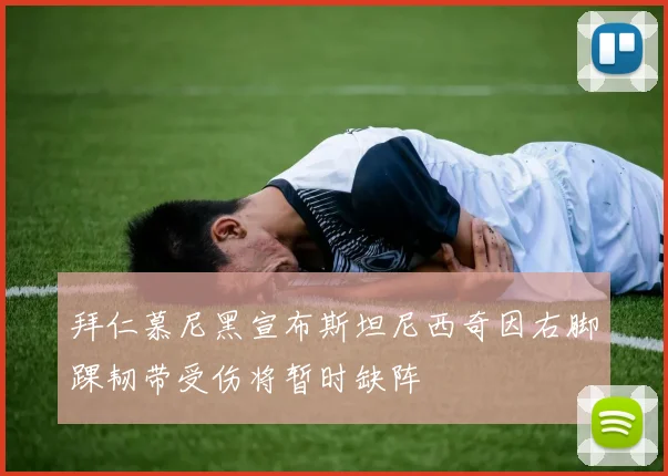 拜仁慕尼黑宣布斯坦尼西奇因右脚踝韧带受伤将暂时缺阵