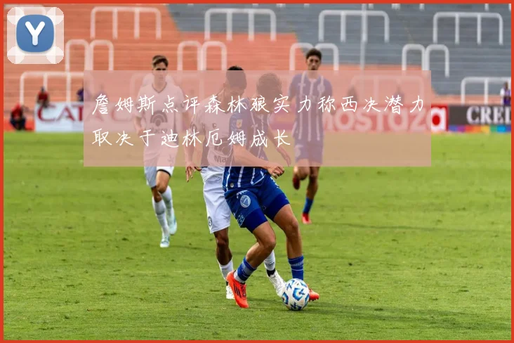 詹姆斯点评森林狼实力称西决潜力取决于迪林厄姆成长